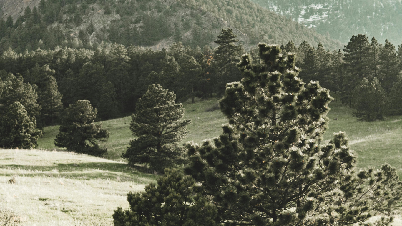 Best hotels in Boulder Colorado